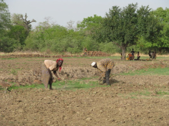 01 Le Labour Du Bas Fond